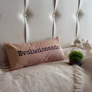 Almohadón "EVOLUCIONANDO"