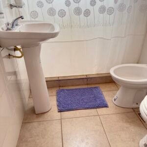 Alfombra "SHAGGY" Rectangular LAVANDA