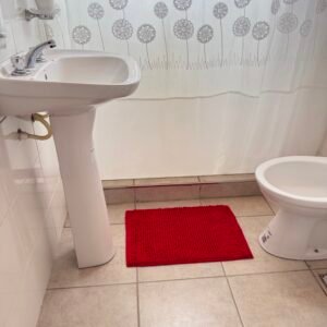 Alfombra " SHAGGY" Rectangular ROJA